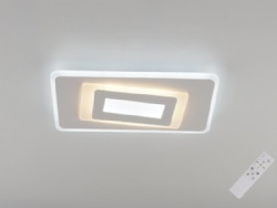 LED Modern Light
