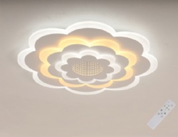 LED Modern Light